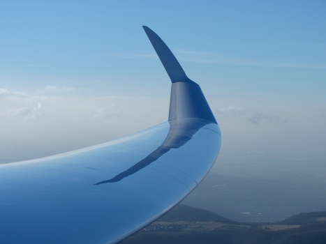 Quintus winglet